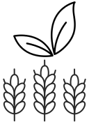 GlutenVege