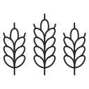 plant (1)